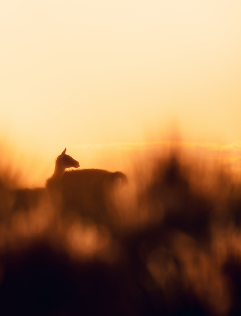 DSC01178.png
