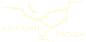 patagonia-pintada